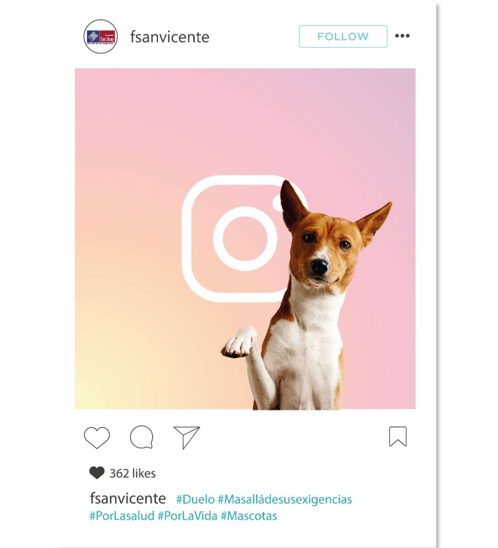 Publicaciones de tu interés